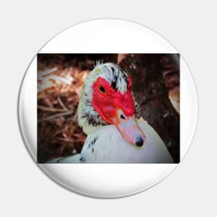 Muscovy Duck Pin