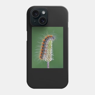 Small Oak Eggar moth caterpillar Phone Case