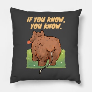 you dont wanna know Pillow