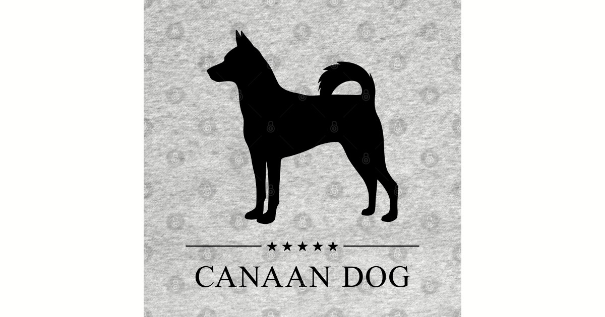 Wallpaper Canaan Dog Black Silhouette Canaan Dog Sticker Teepublic Desktop Wallpaper
