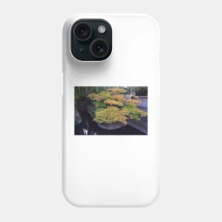 Pond at Christ Church College, Oxford, UK Phone Case