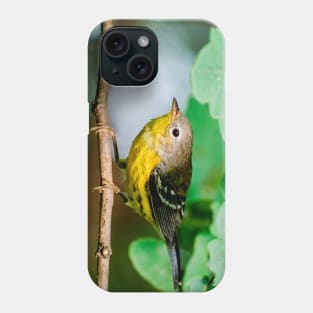 Yellow Warbler, Bird Photography Phone Case