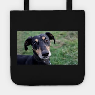 Scout Tote