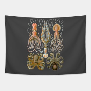 Ernst Haeckel Octopus Gamochonia Natural Tapestry