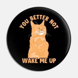 You Better Not Wake Me Up Cat Mom Cat Lovers Funny Cat Pin