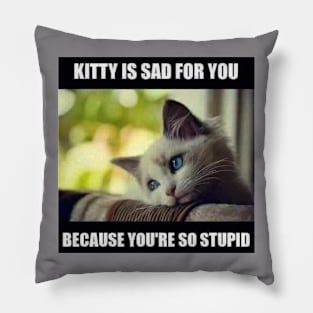 Sad Kitty Pillow