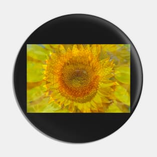 Sunflower, sunflower, abstract, (Helianthus annuus) Pin