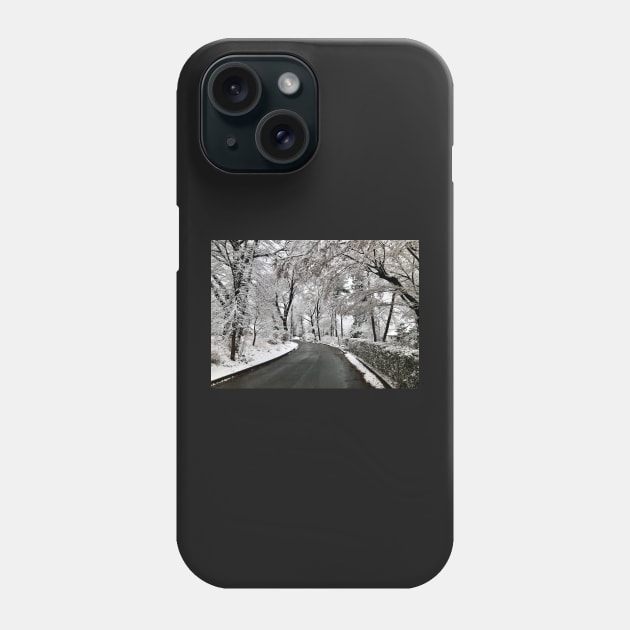 Winter Road Phone Case by GDGCreations