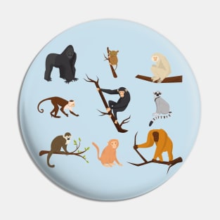 Monkey species Pin