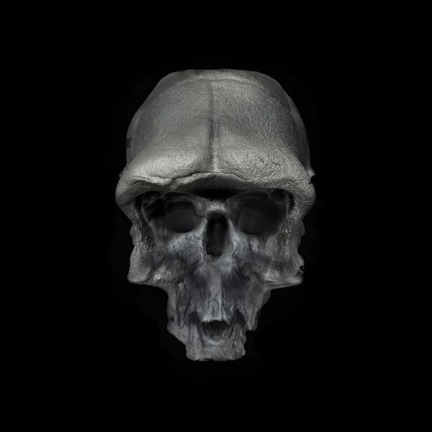 scary 3d skull by VikingArt