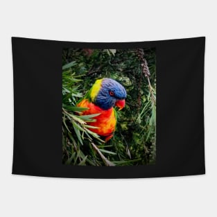 Rainbow lorikeet Tapestry