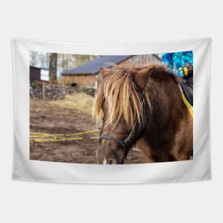 Portrait of brown pony with long mane Tapestry