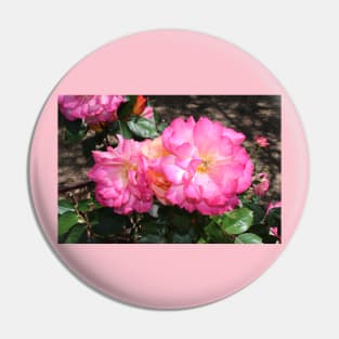 Pink Rose Pin