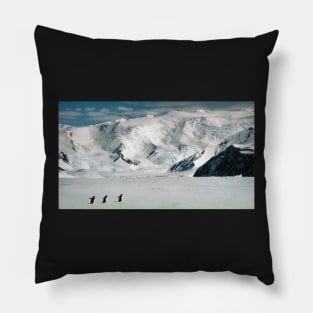 Adelie Penguins at Cape Hallett Pillow