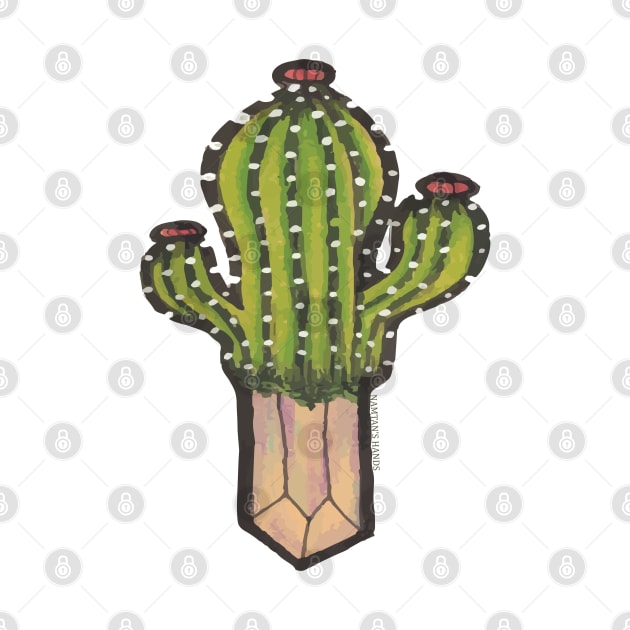 Cactus with crystal roots 2 by Namtan's Hands