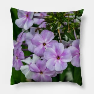 Flower Power Pillow