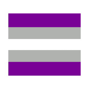 grey-asexual pride flag T-Shirt