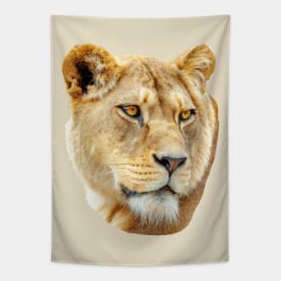 Lioness Tapestry