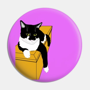 Cute Tuxedo On a Box Copyright TeAnne Pin