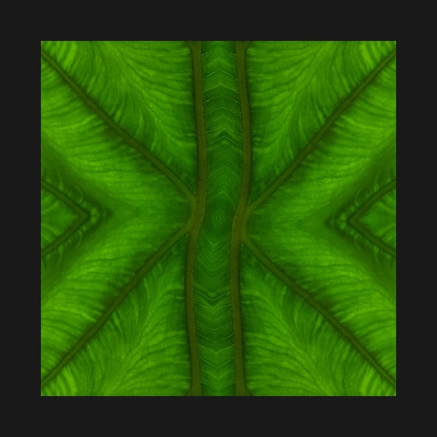 Banana leaf kaleidoscopic patterns. ONE by mister-john