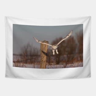 Snowy Owl Tapestry