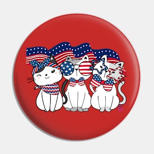 God Bless Ameowica Pin