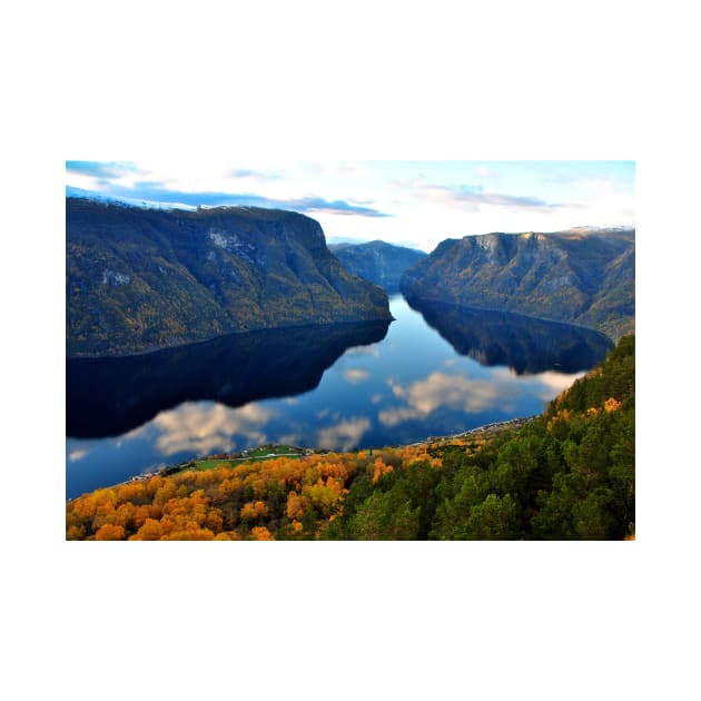 Aurlandsfjord Flam Norwegian Fjord Norway by Andy Evans Photos