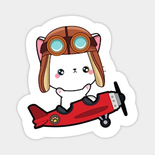 Cute angora cat is in a vintage plane Magnet