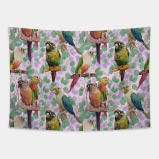 Conures in Eucalyptus Leaves in Pink Tapestry