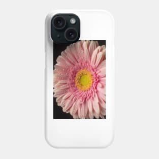 Dew Covered Pink Daisy Phone Case