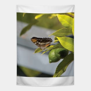 California Sister Butterfly Resting On A Lemon Tree Tapestry