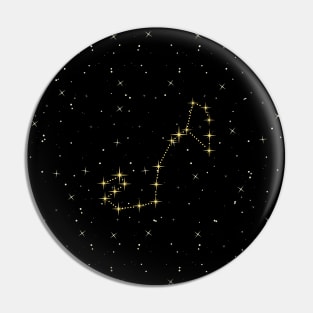 Scorpio Star Constellation Pin