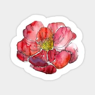 Watercolor peonies pink spring girly red Magnet