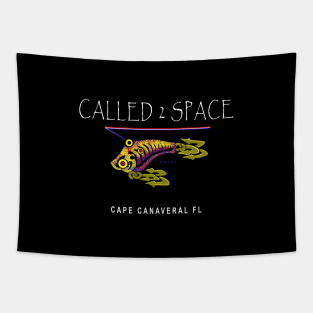 Cape Canaveral FL., NASA Called 2 Space Tapestry