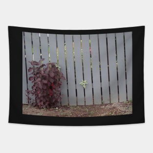 fence Tapestry