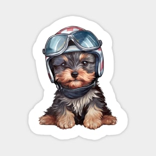 Yorkshire Terrier Dog in Helmet Magnet