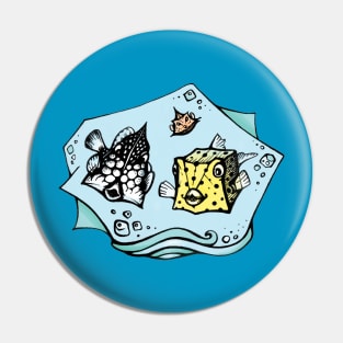 Funny angular Boxfishes Pin