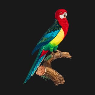 Black Panther Art - Beautiful Parrot 13 T-Shirt