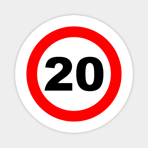 20th Birthday Gift Road Sign anniversary Magnet by Shirtbubble