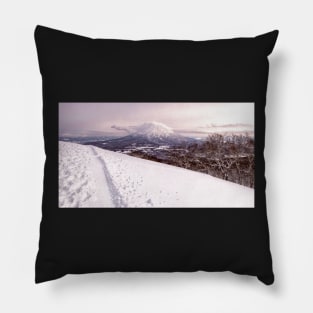 The Top of the Black Run Pillow