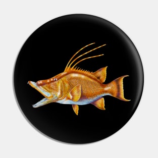 Hogfish Pin