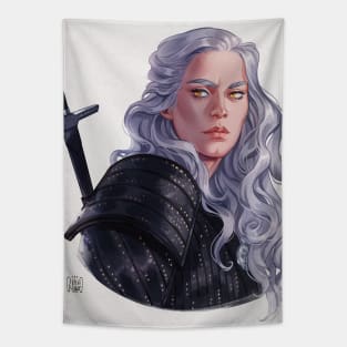 The Witcher 2 Tapestry