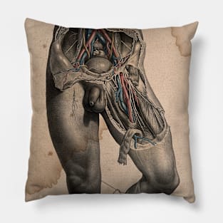 What is Within Us Vintage Tee Collection// Lower Body Pillow