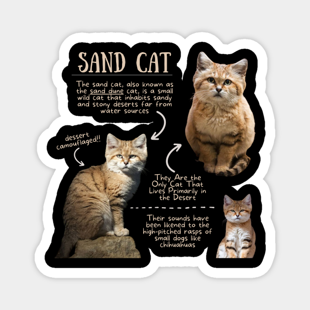 Animal Facts - Sand Cat - Cat - Magnet | TeePublic Animal Facts - Sand Cat - Cat - Magnet | TeePublic