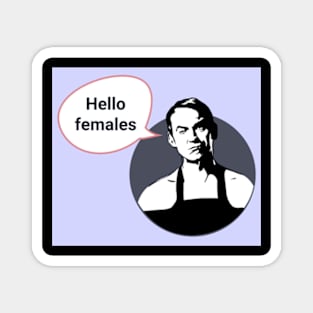 Friday Night Dinner Pop Art 'Hello Females' Magnet