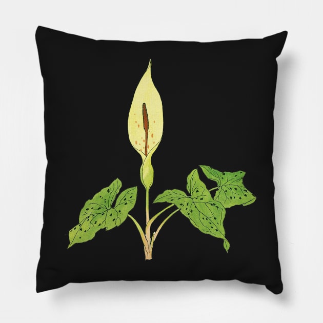 Arum maculatum - botanical illustration Pillow by chimakingthings