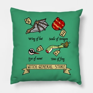 Witch General Store Pillow
