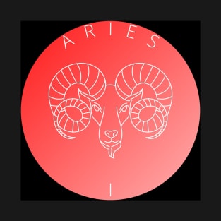 ARIES ZS T-Shirt