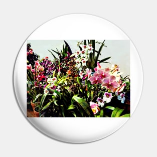 Orchids in the Garden Center Pin