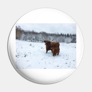 Scottish Highland Cattle Cow and Calf 1585 Pin